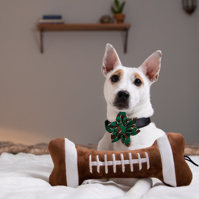 Football Bone