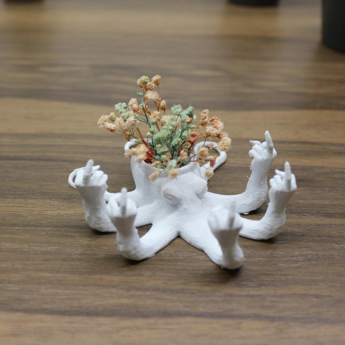 Fucktopus Air Plant Pot
