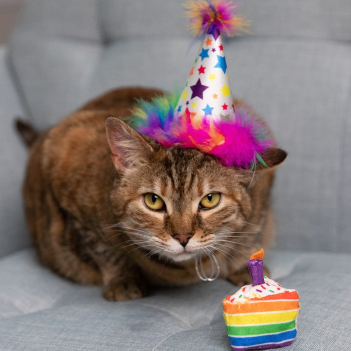Cat with Funfetti Cake Cat Toy.