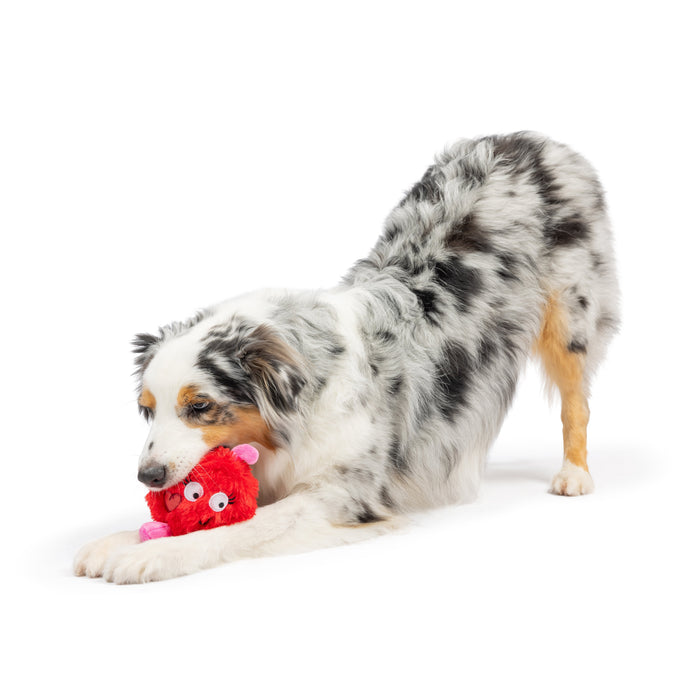Dog with Fur Bug Dog Toy on a white background.