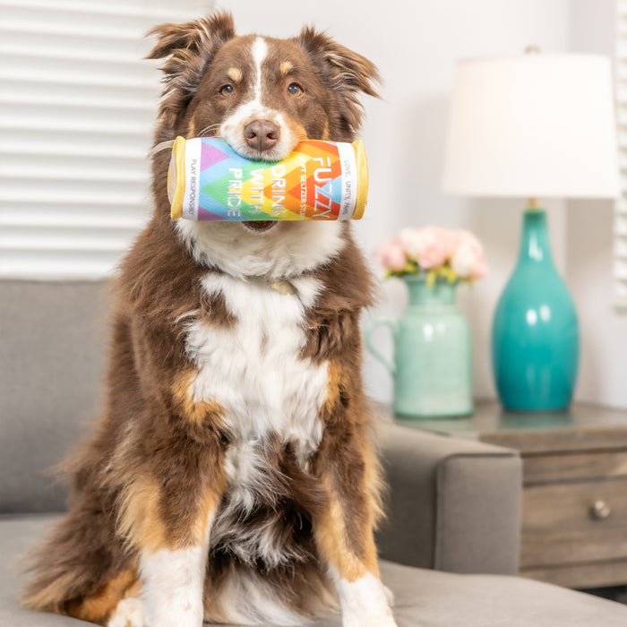 Fuzzy Soft Seltzer