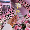 Galaxy Forever Rose