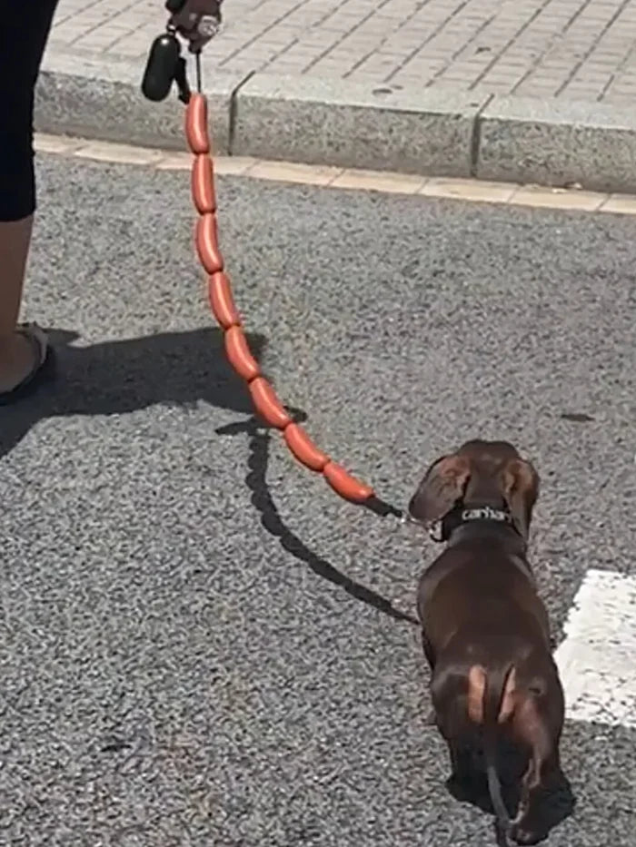 GIANT SAUSAGE DOG LEASH