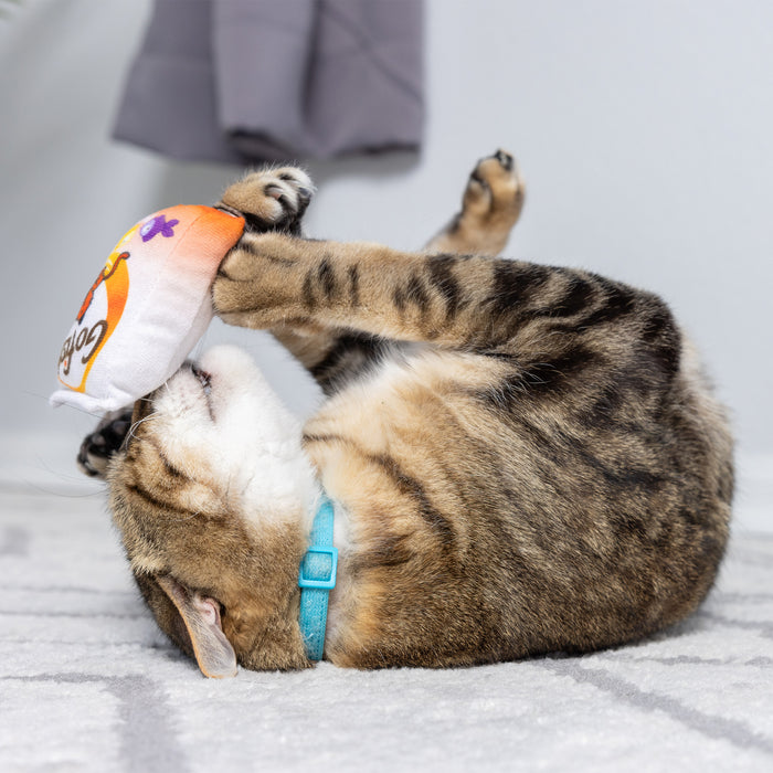 Cat with Go Fish Phishy Cat Toy.