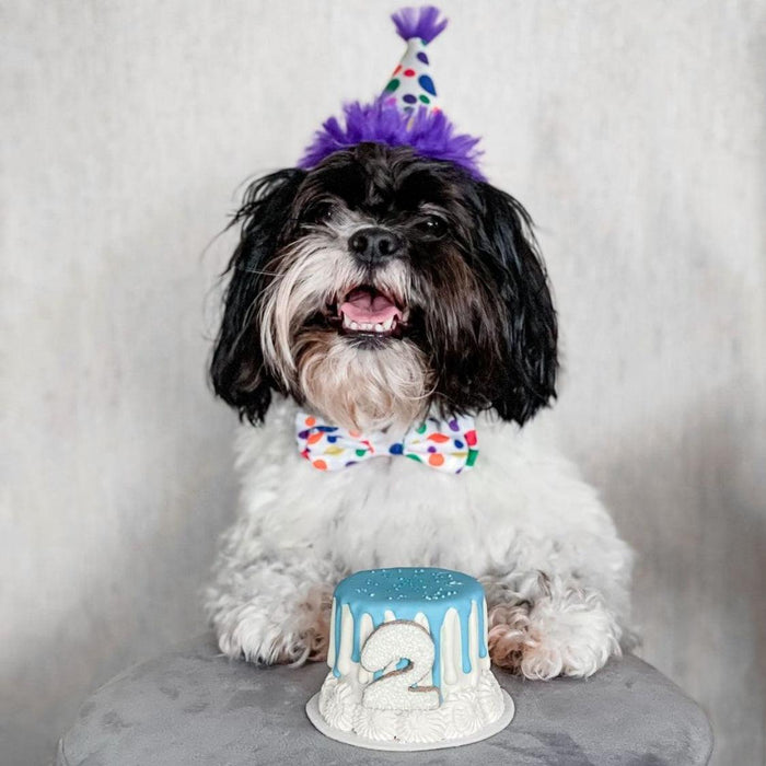 Happy Barkday Bow Tie