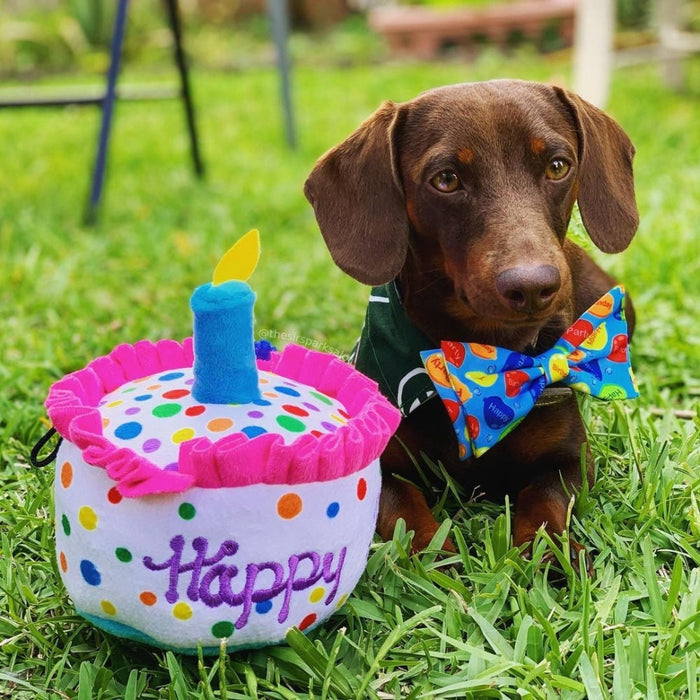 Happy Barkday Cake