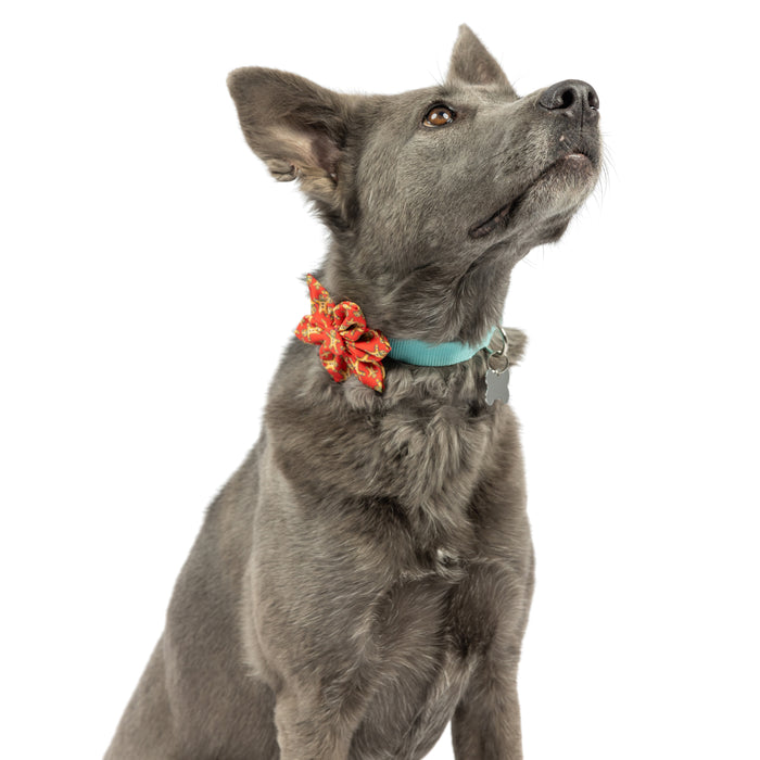 Dog wearing a gingerbread-themed pinwheel accessory featuring Happy G-Man Pinwheel.
