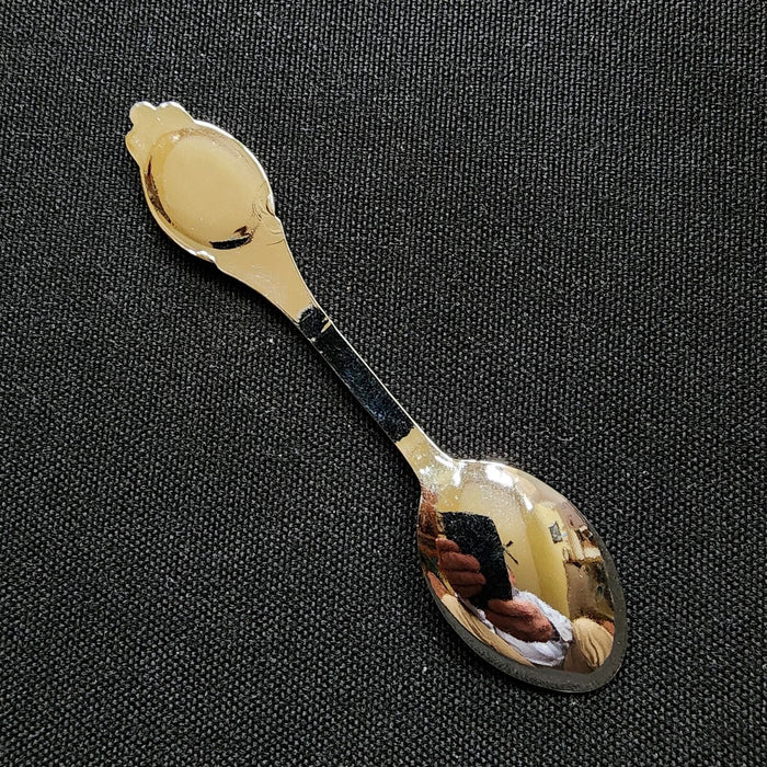 Harvard City Illinois Chicagoland Collectible Travel Souvenir Spoon 4" 10cm VTG