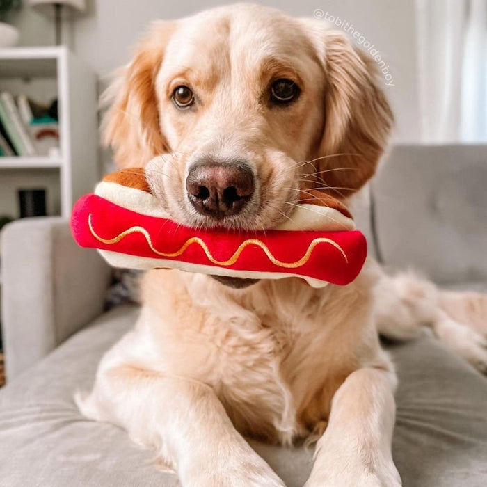 Haute Dawg