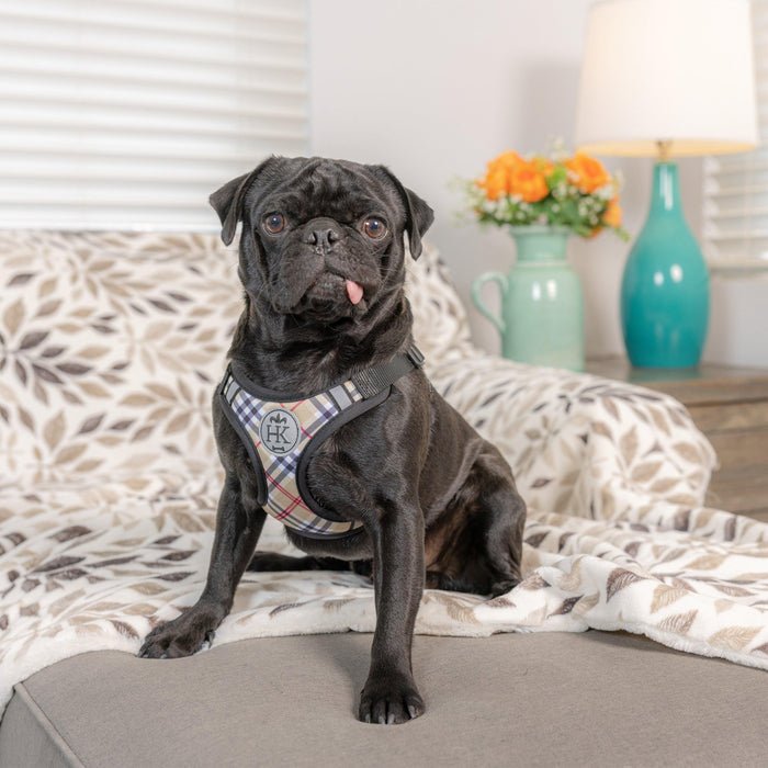 Dog wearing a plaid pet harness on a couch featuring High Street Plaid Scout Harness.