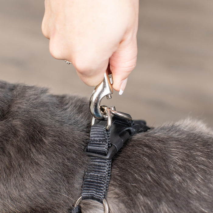 Scout Lopro Harness