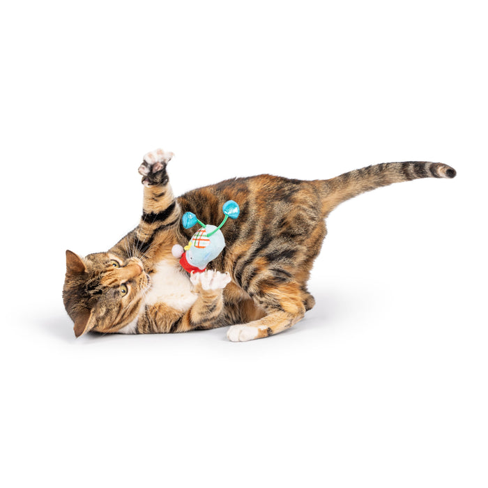 Cat with Holiday Bird Chirpy Cat Toy.