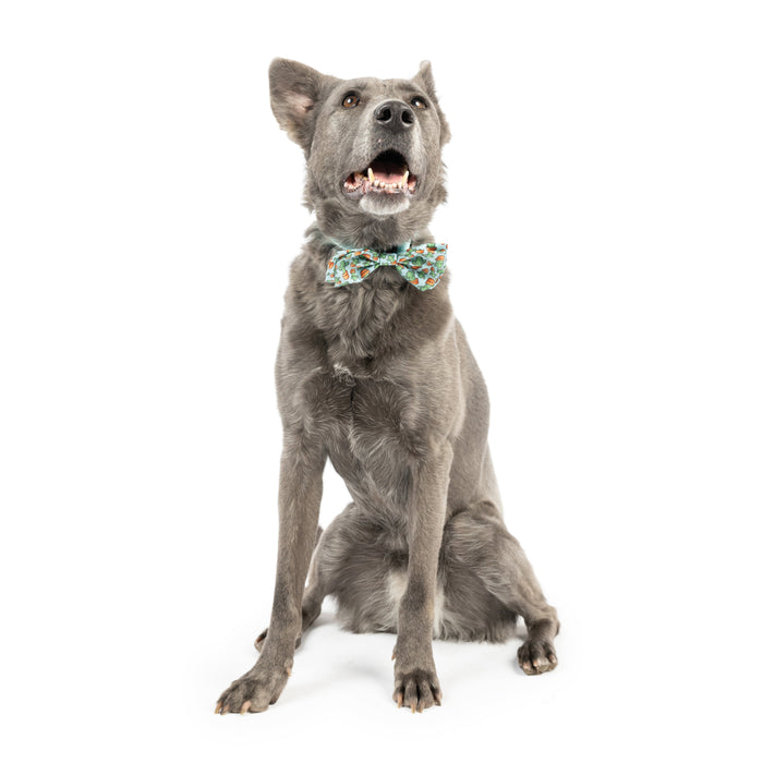 I'm Prickly Cactus Bow Tie