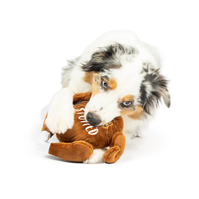 Dog with a turkey-shaped plush toy featuring I'm Stuffed Turkey.