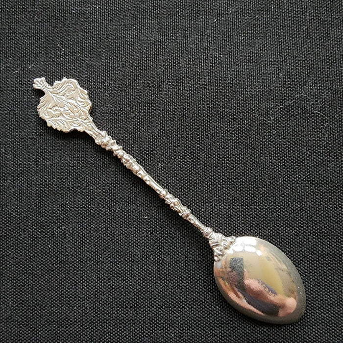 ITALY Collector Souvenir Spoon 5" Silver Plated