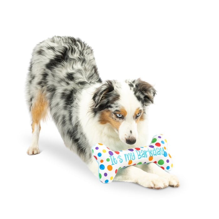 It's My Barkday Bone (Double Sided)