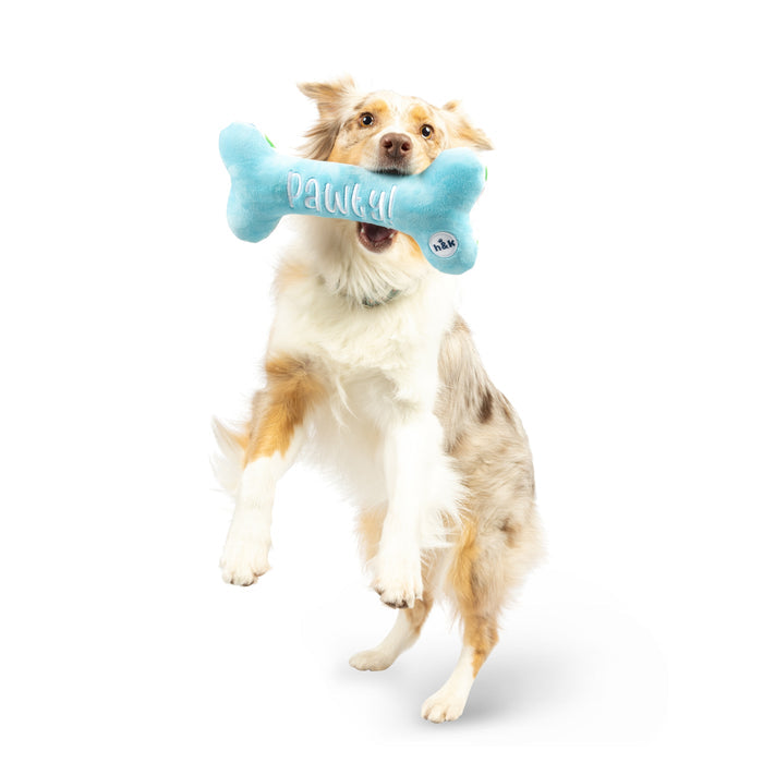 It's My Barkday Bone (Double Sided)