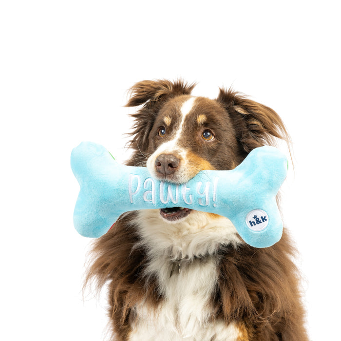 It's My Barkday Bone (Double Sided)