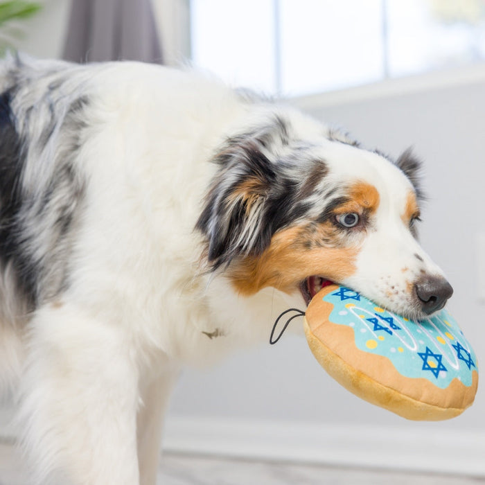 Dog holding a light blue plush toy indoors featuring Jelly Roll.
