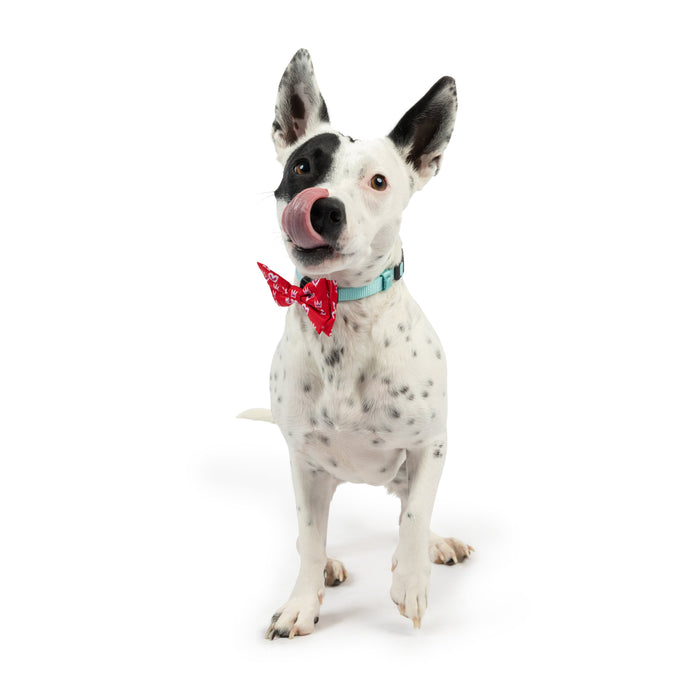 King & Queen of Hearts Bow Tie