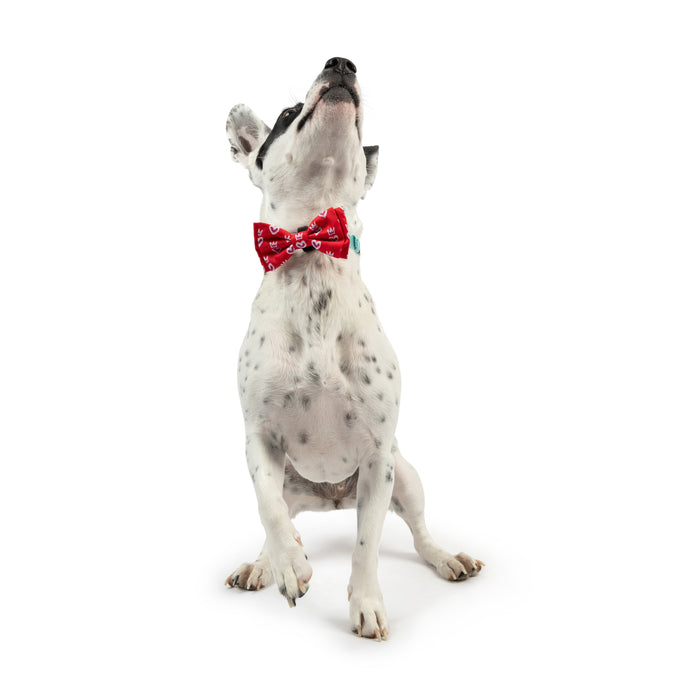 King & Queen of Hearts Bow Tie