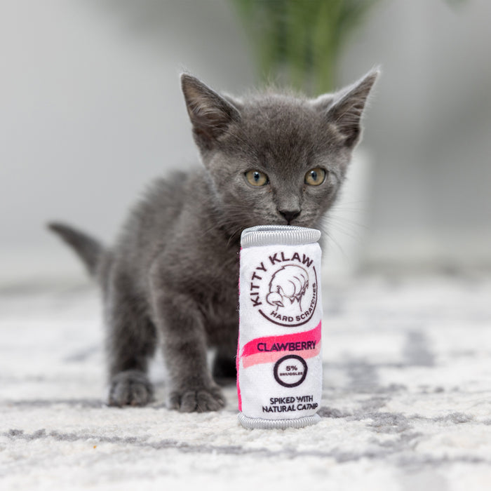 Cat with Kitty Klaw Clawberry Cat Toy.