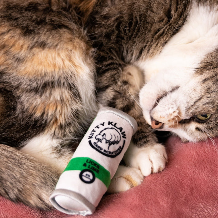 Cat with Kitty Klaw Licks & Lime Cat Toy.