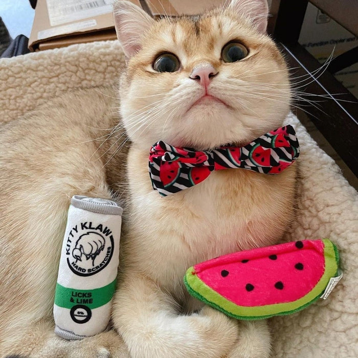 Kitty Klaw Cat Toy
