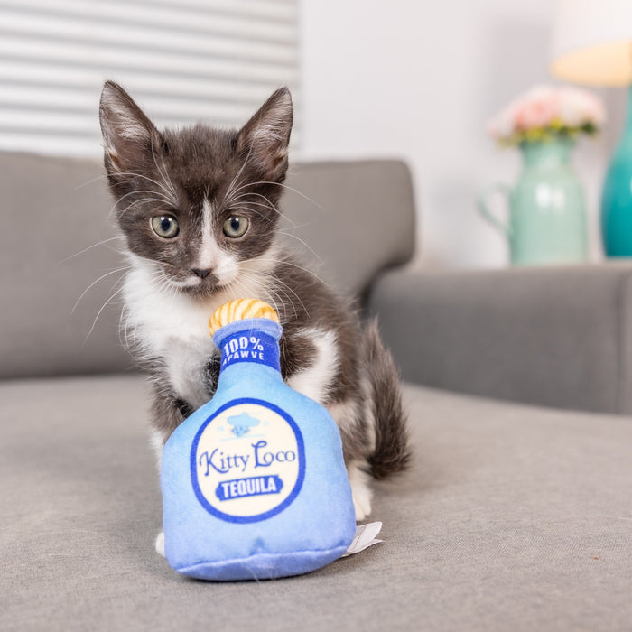 Cat with Kitty Loco Tequila Cat Toy.