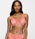PINK TRIUMPH LADYFORM SOFT BRA