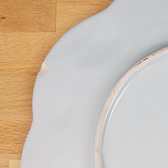Laguna Coastal Seafoam Blue Serving Plate Ceramic Sea Shell Platter Blue Sky