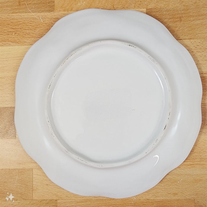 Laguna Coastal White Tray Serving Salad Plate Round Ceramic Sea Shell Blue Sky