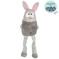 Dog with Lankies Binky Bunny Dog Toy on a white background.