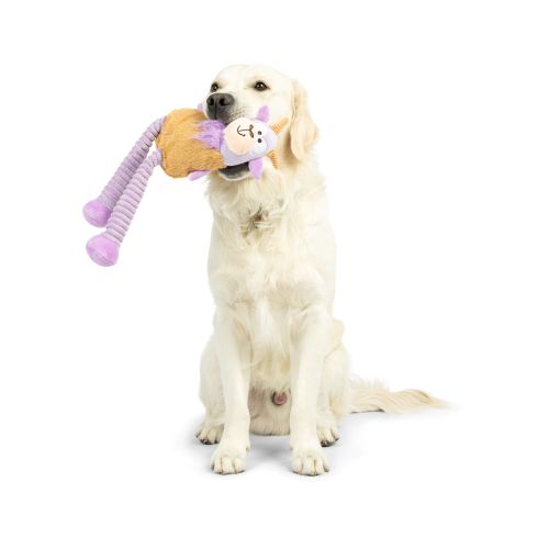 Dog with Lankies Vincent Van Goat Dog Toy on a white background.