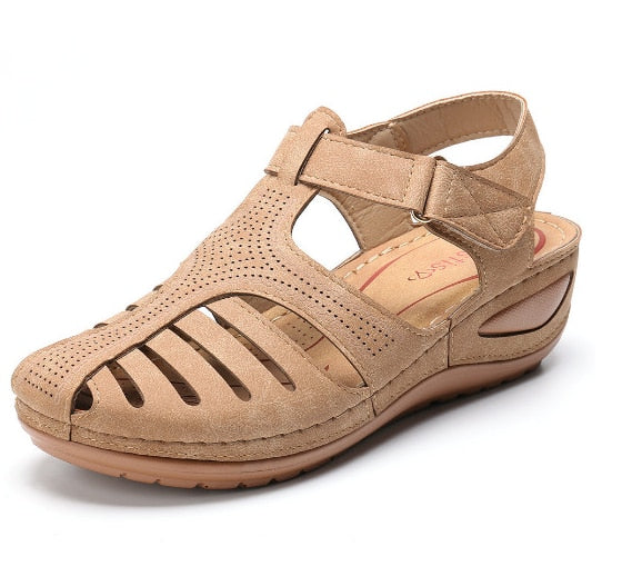 Beige / 35
