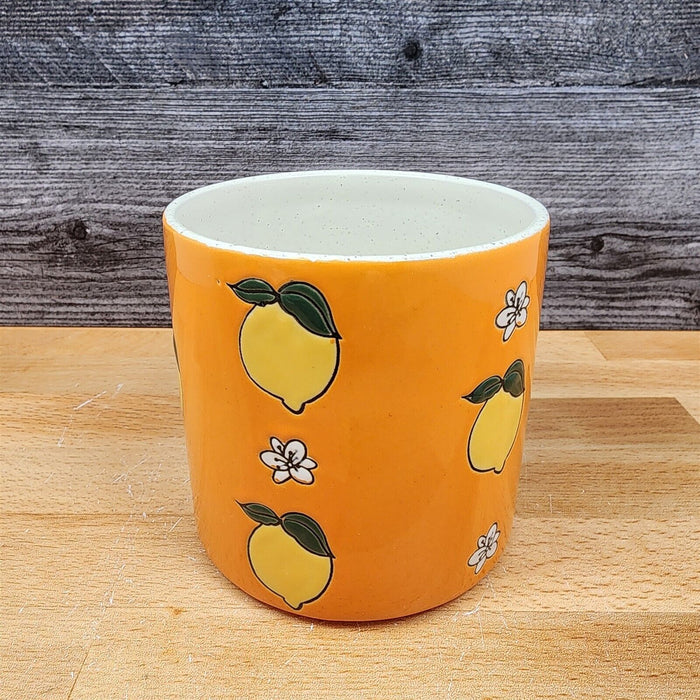 Lemon Bloom Canister Embossed Set by Blue Sky 4" & 5" Kitchen Home Décor Jar