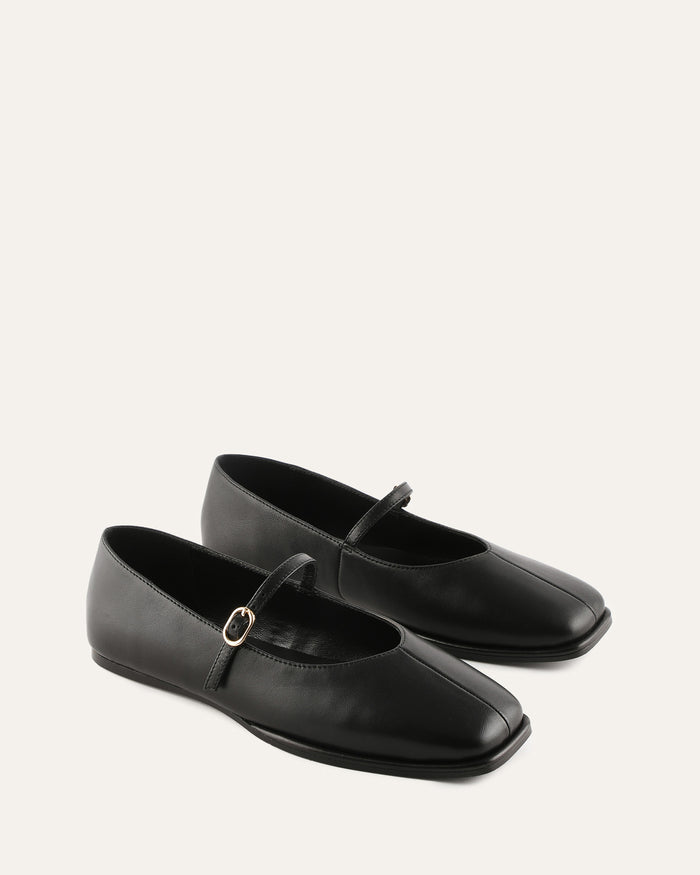 Pair of black leather shoes with buckles on a white background
