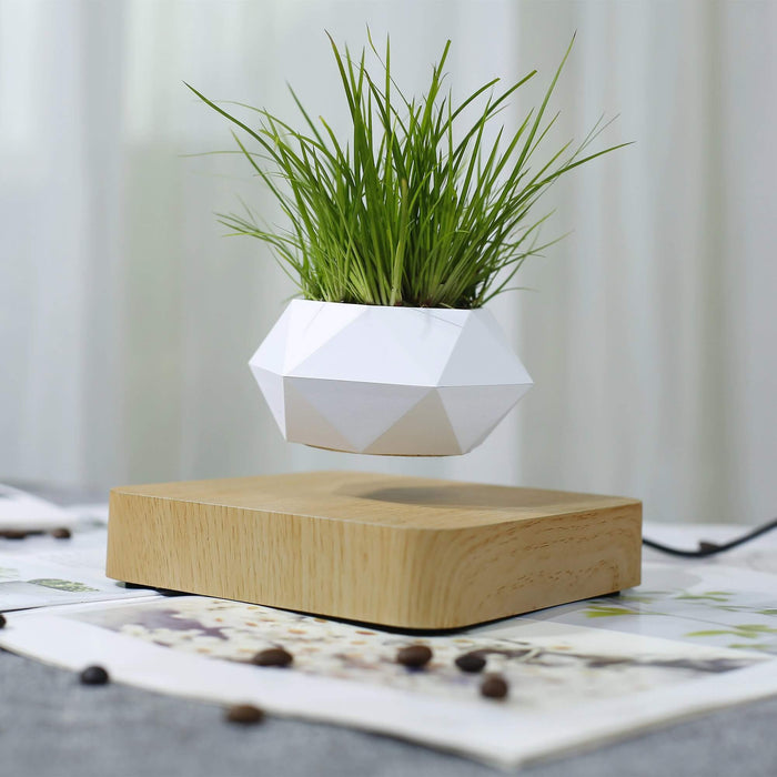 Lifting Air Bonsai Pot