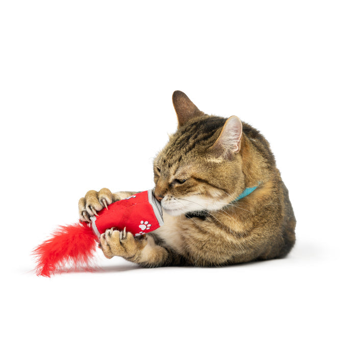 Cat with Lil' Pooper Cat Toy.