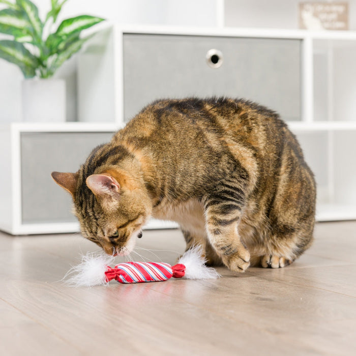 Cat with Lit Donut & Peppermint Candy 2pk Cat Toy.