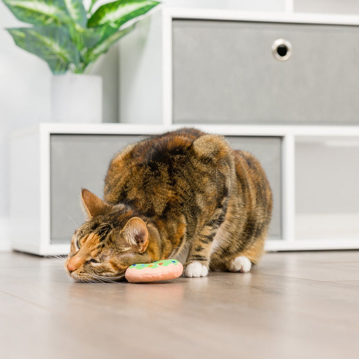 Lit Donut & Peppermint Candy 2Pk Cat Toy