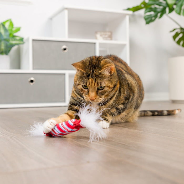 Lit Donut & Peppermint Candy 2Pk Cat Toy