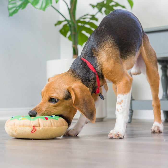 Dog with Lit Donut on the floor indoors.