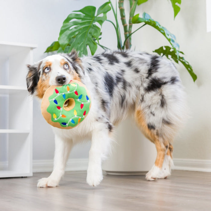 Lit Donut