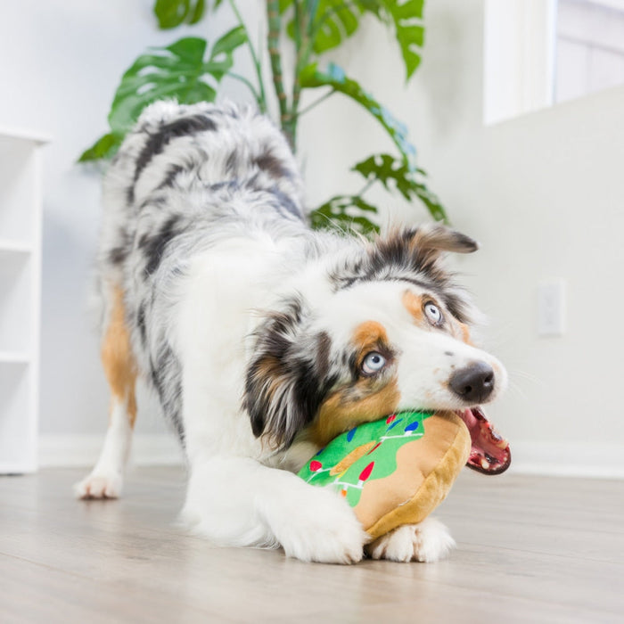 Lit Donut