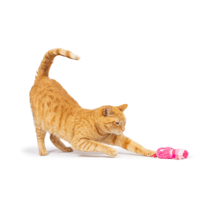 Cat with Love Bugs 2pk Cat Toy.