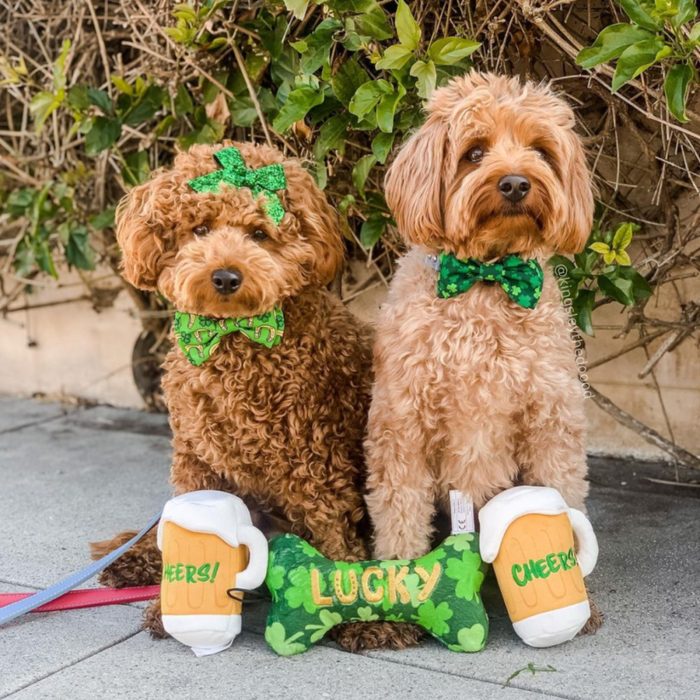 Lucky Charm Bow Tie