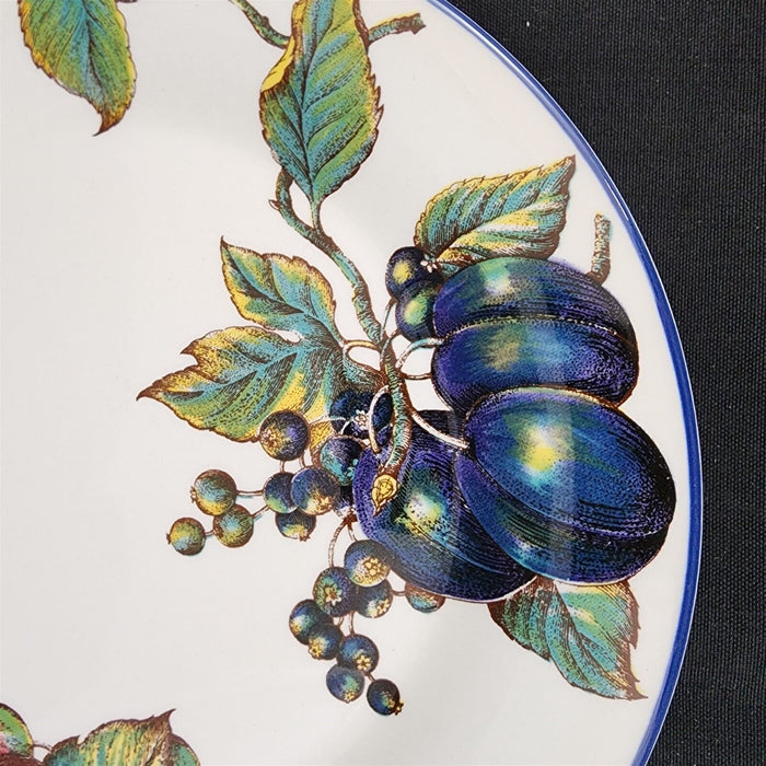Macintosh by Pier 1 Dinner Plate 10 1/4" Fruits with Blue Trim Dishware
