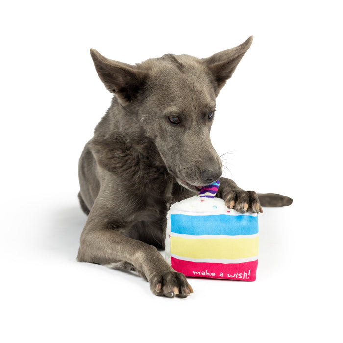 Dog with a colorful birthday cake plush toy featuring Make A Wish Cake.