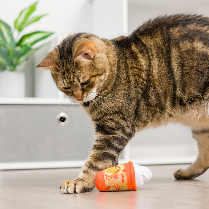 Cat with Meowww Spice Latte Cat Toy.